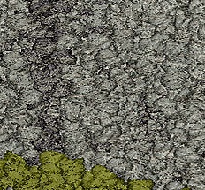 Ковровая плитка Interface Human Connections Moss in stone