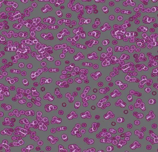 Ковролин Forbo Flotex Sottsass