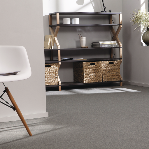 4314_roomset_carpet_scenario_940_grey_1.png 4314_roomset_carpet_scenario_940_grey_1.png