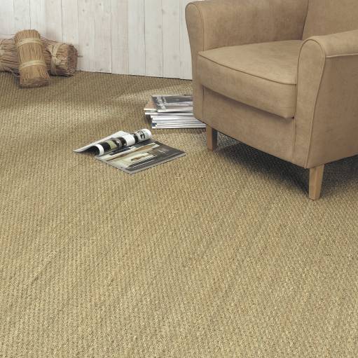 4641_RoomSet_carpet_ALONG_650_BEIGE_1.jpeg