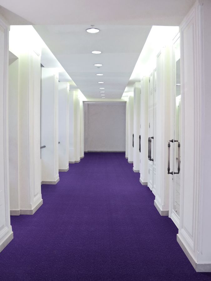 3390.jpg 3390.jpg