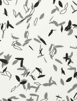 Taralay Impression Acoustic