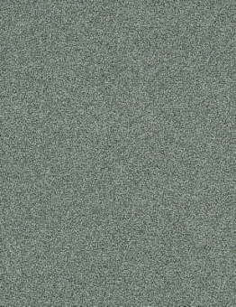   Polichrome Stipple