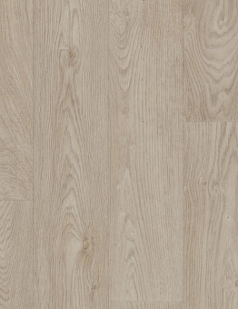 Taralay Initial Compact