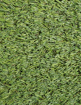 Искусственная трава Evergreen