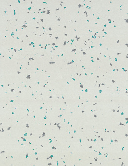 Taralay Premium Acoustic