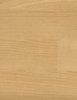   TARAFLEX EVOLUTION WOOD