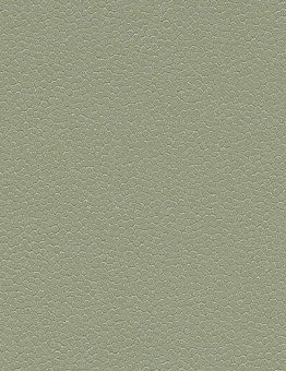 Линолеум Safestep Aqua