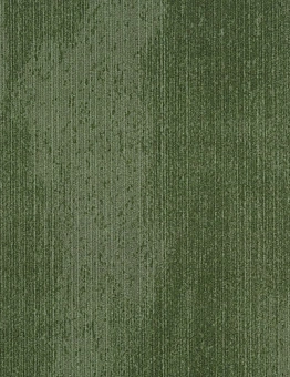  Flotex Advance Latitude 