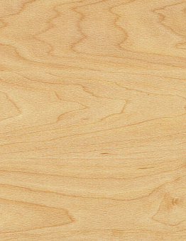   TARAFLEX SURFACE WOOD