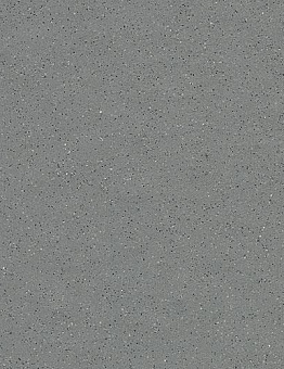  Surestep Steel