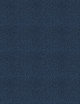   Series.1.101