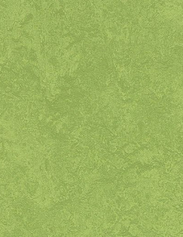 Спортивные покрытия Marmoleum Sport 3.2